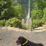 Leopold Mit Burgblick An Der Mosel Apartment *