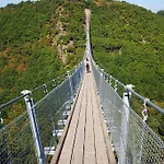 Leopold Mit Burgblick An Der Mosel *