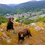 Leopold Mit Burgblick An Der Mosel Apartment Burgen (Mayen-Koblenz)