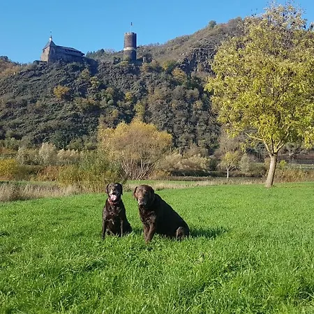 Leopold Mit Burgblick An Der Mosel * Burgen (Mayen-Koblenz)