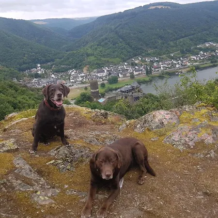 Leopold Mit Burgblick An Der Mosel Apartment *