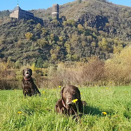 Apartment Leopold Mit Burgblick An Der Mosel *