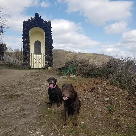 Leopold Mit Burgblick An Der Mosel 公寓 布尔根