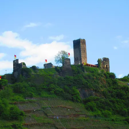 Apartment Leopold Mit Burgblick An Der Mosel *