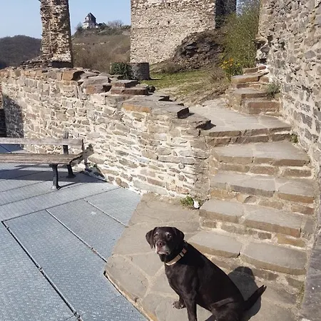 Leopold Mit Burgblick An Der Mosel * Burgen (Mayen-Koblenz)