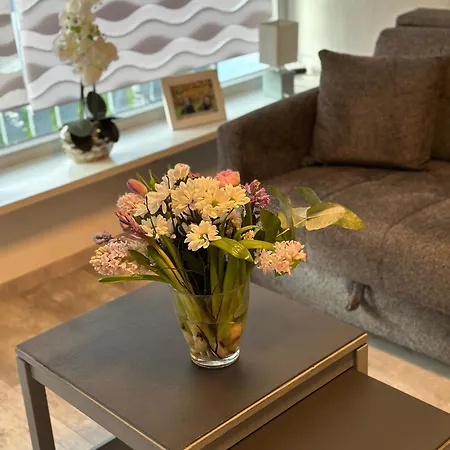 Leopold Mit Burgblick An Der Mosel * Burgen (Mayen-Koblenz)