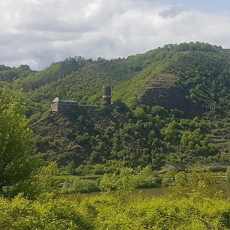 Apartment Leopold Mit Burgblick An Der Mosel *
