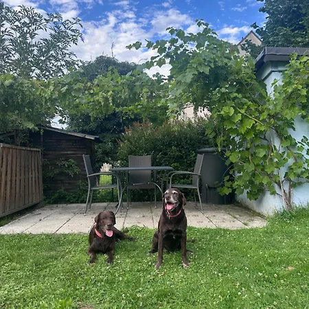 Leopold Mit Burgblick An Der Mosel *