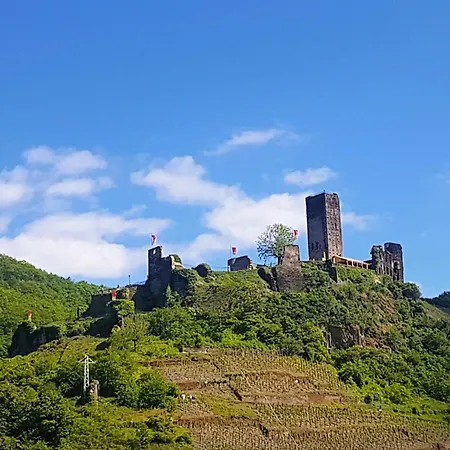 Leopold Mit Burgblick An Der Mosel Διαμέρισμα Burgen (Mayen-Koblenz)