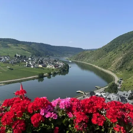 Leopold Mit Burgblick An Der Mosel 公寓 布尔根