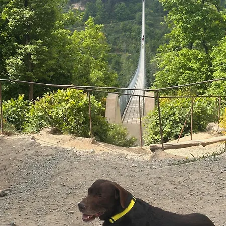 Leopold Mit Burgblick An Der Mosel 公寓 *