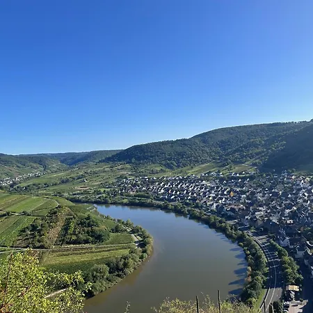 Leopold Mit Burgblick An Der Mosel