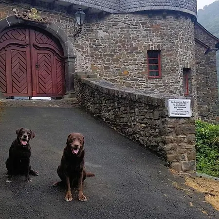 公寓 Leopold Mit Burgblick An Der Mosel *
