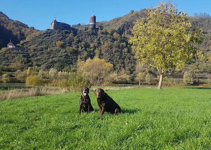 Leopold Mit Burgblick An Der Mosel * Burgen (Mayen-Koblenz)