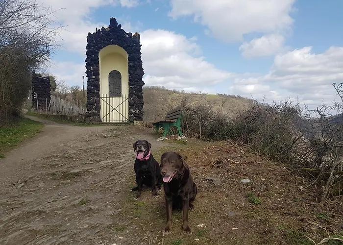 Leopold Mit Burgblick An Der Mosel Διαμέρισμα Burgen (Mayen-Koblenz)