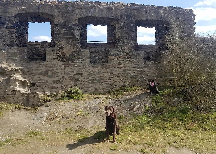 Διαμέρισμα Leopold Mit Burgblick An Der Mosel