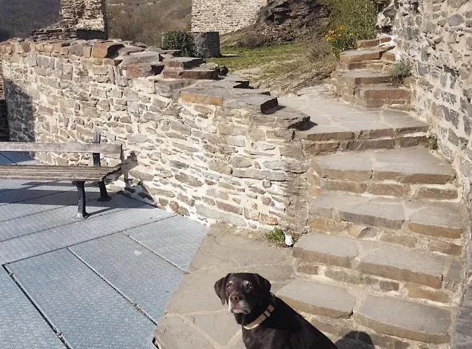 Leopold Mit Burgblick An Der Mosel * Burgen (Mayen-Koblenz)