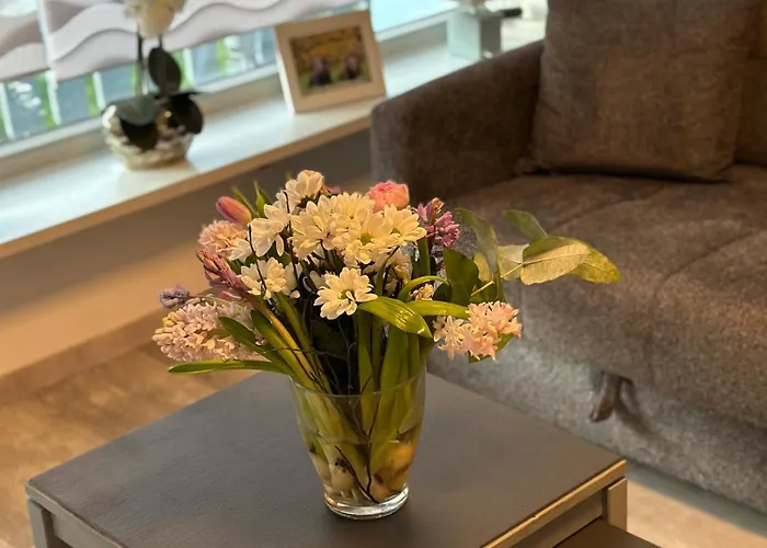 Leopold Mit Burgblick An Der Mosel * Burgen (Mayen-Koblenz)