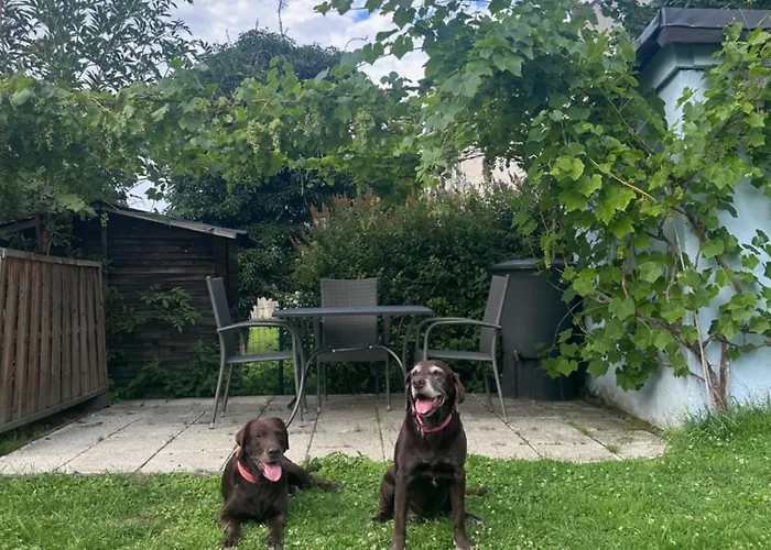 Leopold Mit Burgblick An Der Mosel *