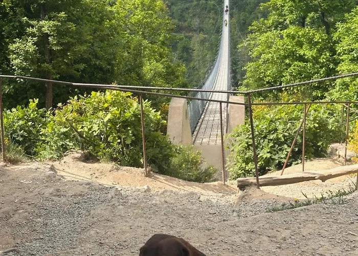 Leopold Mit Burgblick An Der Mosel Διαμέρισμα *