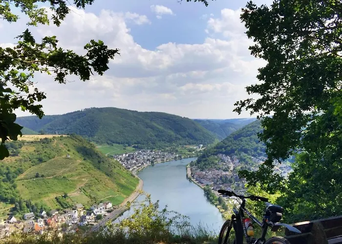 Leopold Mit Burgblick An Der Mosel Διαμέρισμα *