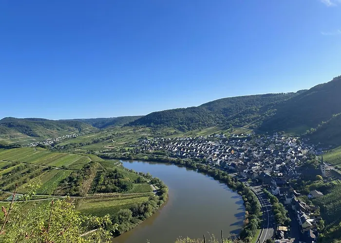 Leopold Mit Burgblick An Der Mosel