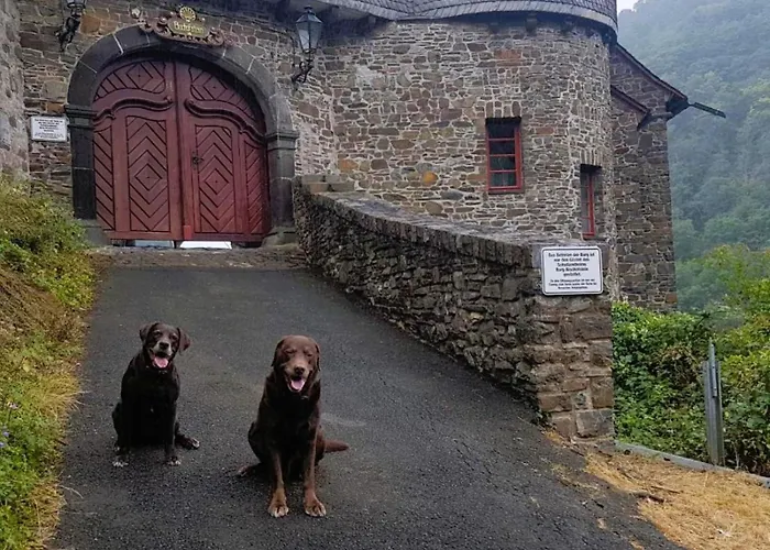 Διαμέρισμα Leopold Mit Burgblick An Der Mosel *