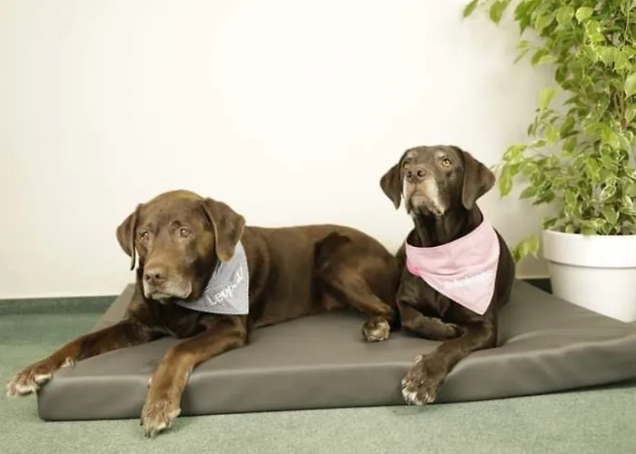 Leopold Mit Burgblick An Der Mosel Διαμέρισμα